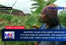 Aktivis Soroti Tambang Batu di Desa Wonoploso Gondang Mojokerto, Diduga Kuat Bibir Sungai Tergali