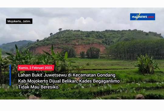 Lahan Bukit Juwetsewu di Kecamatan Gondang Kab.Mojokerto Dijual Belikan, Kades Begaganlimo Tidak Mau Beresiko