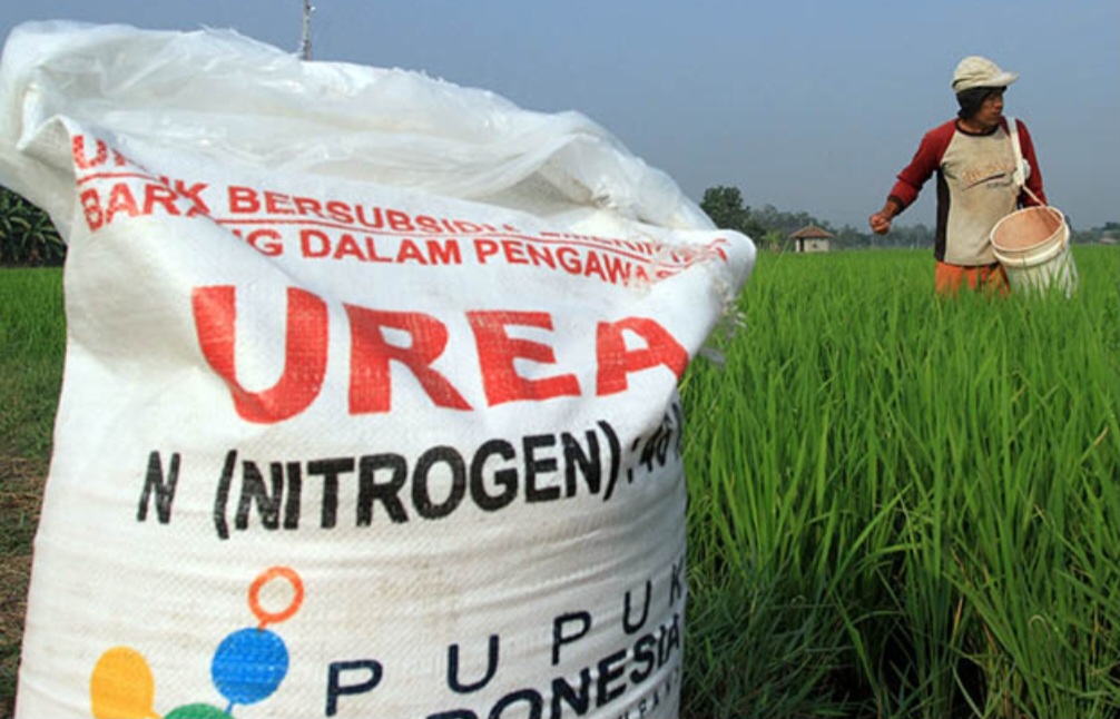 Pemerintah Rampingkan Jumlah Komoditas Tanaman Penerima Pupuk Subsidi