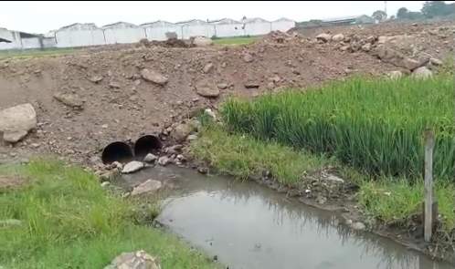 Proyek Pengurukan Lahan Sawah di Lingkungan Sekarputih Kedundung, Disinyalir Kuat Lahan Sawah Dilindungi