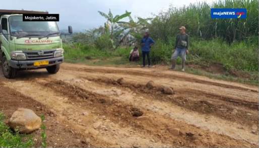 Galian Diduga Ilegal Sewa Lahan Sawah TKD di Gondang Mojokerto, Ahli Hukum Tuding Katagori Kejahatan