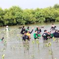Peringati Hari Bumi Sedunia dan Dasawarsa Sahabat Giriwana, Penanaman Ribuan Mangrove di Kali Miring Gresik Dilakukan