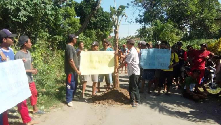 Protes Jalan Rusak, Warga di Nganjuk Tanam Puluhan Pohon Pisang di Tengah Jalan