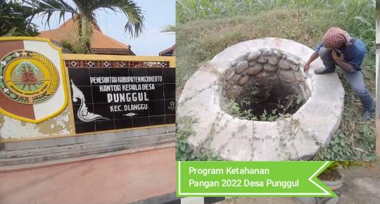 Anggaran Ketahanan Pangan 2022 Desa Punggul Dlanggu Kab.Mojokerto Diduga Ada Rekayasa
