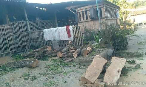 Respon Laporan Masyarakat Rescue Mandiri Indonesia: Gerak Cepat Tebang Pohon Jambu yang Membahayakan