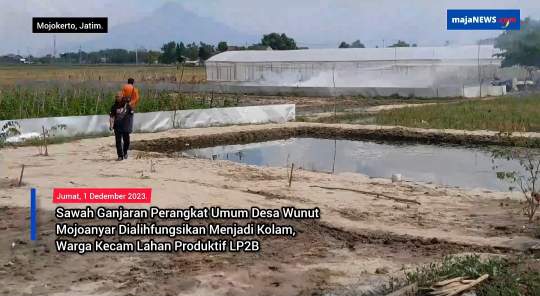 Sawah Ganjaran Perangkat Desa Wunut Mojoanyar Dialihfungsikan Menjadi Kolam, Warga Kecam Lahan Produktif LP2B