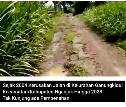 Jalan Rusak di Kelurahan Ganungkidul Nganjuk, Tokoh Masyarakat: Pernah Jadi Usulan Bupati 2004 Hingga Kini Tak di Gubris