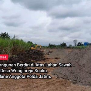 Akan Ada Bangunan Berdiri di Atas Lahan Sawah Produktif di Desa Wringinrejo Sooko, Linmas: Gadane Anggota Polda Jatim