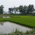 Diduga Tidak Tepat Sasaran, Petani di Nganjuk Menyoal Bantuan Dari Pemerintah
