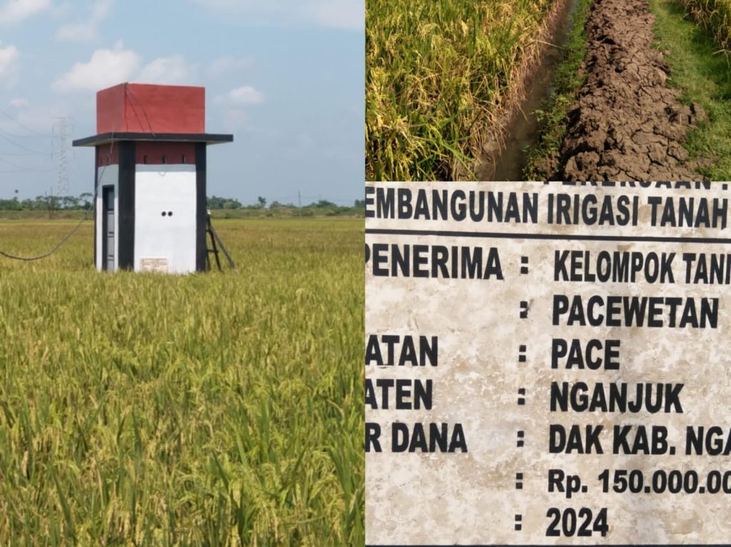 Proyek DAK 2024 di Pace Nganjuk Gagal Progres, Pengawasan Pihak Instansi Layak Dipertanyakan