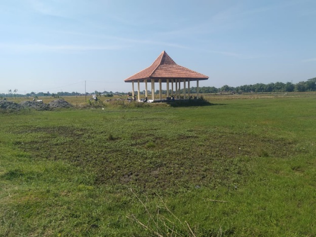 Kelurahan Tanjunganom Nganjuk Tak Memiliki TPU, Kebutuhan Masyarakat Terancam, PR Besar Pemda Nganjuk