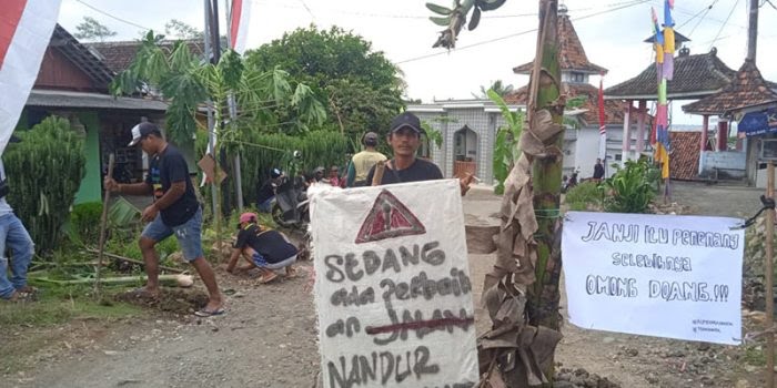 Protes Jalan Rusak Parah, Warga Tanggung Gunung Kecamatan Tanggung Tulungagung Tanami Pohon Pisang