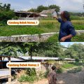 Kandang Bebek Dekat Pemukiman di Dusun Watutumang Desa Candiwatu Pacet Resahkan Warga