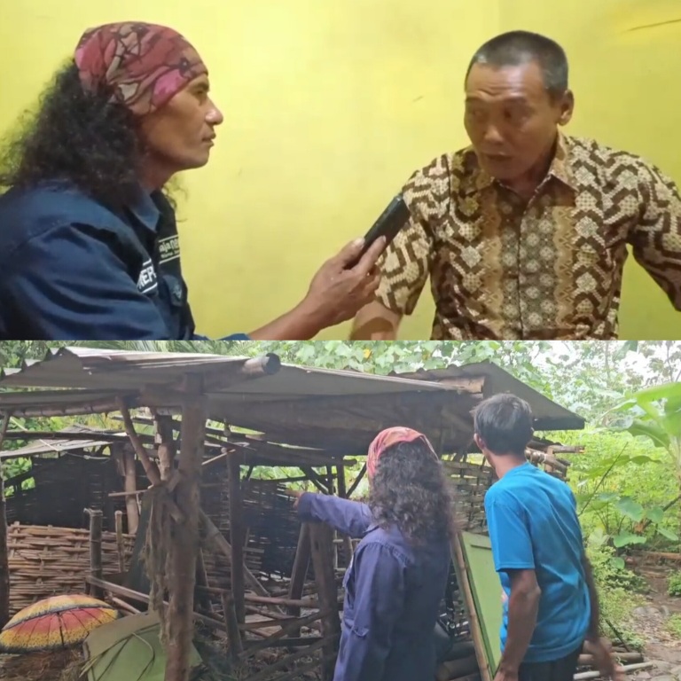 Rumput Pakan Sapi Diduga Diracun, Kelompok Peternak Sapi Kecamatan Gondang Menduga Pelaku Yang Sama
