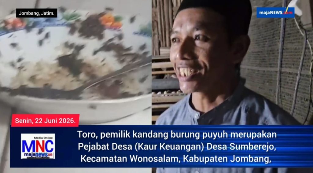 Diduga Dari Kandang Burung Puyuh, Warga Sumberejo Wonosalam Dibikin Resah Munculnya Lalat dan Bau